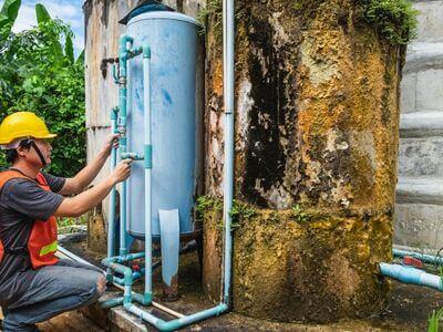 Professional black mold removal services in Hollywood